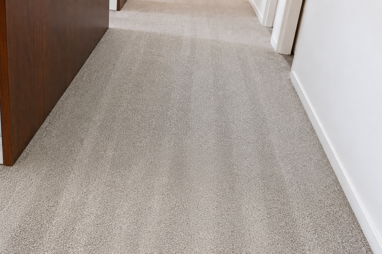 Higienização de tapetes e carpetes — LF Higienização Araucária